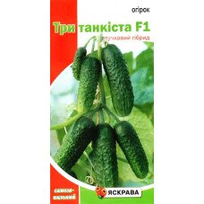 Насіння огірка партенокарпічного Три Танкиста F1 Манул, Яскрава, 0,3г