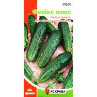 Насіння огірка бджолозапильного Фенікс Плюс, Яскрава, 1г