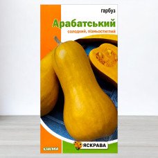 Насіння гарбуза Арабатський, Яскрава, 2г