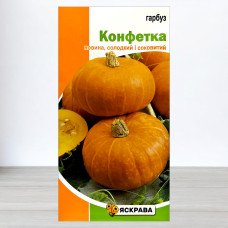 Насіння гарбуза Конфетка, Яскрава, 2г