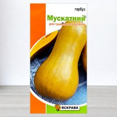 Насіння гарбуза Мускатний, Яскрава, 1г