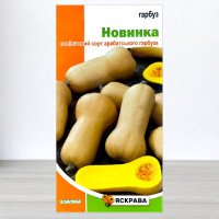 Насіння гарбуза Новинка, Яскрава, 2г