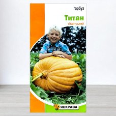 Насіння гарбуза Титан, Яскрава, 3г