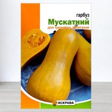 Насіння гарбуза Мускатний, Яскрава, 10г