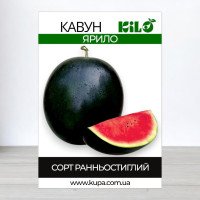 Насіння кавуна Ярило, 100г