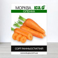Насіння моркви Оленка, 100г