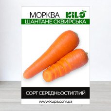 Насіння моркви Шантане Сквирська, 100г