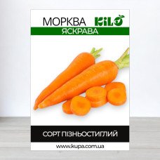 Насіння моркви Яскрава, 100г