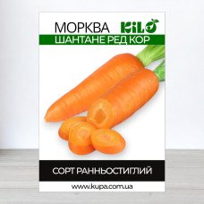 Насіння моркви Шантане Ред Кор, 100г