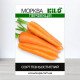 Насіння моркви Перфекція, 100г