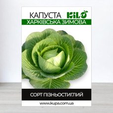 Насіння капусти Харківська Зимова, 100г