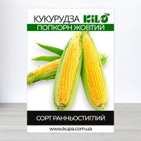 Насіння кукурудзи Попкорн Жовтий, 100г