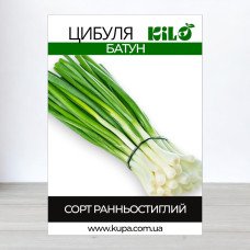 Насіння цибулі Батун, 100г