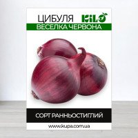 Насіння цибулі червоної Веселка, 100г