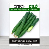 Насіння огірка бджолозапильного Китайський Жаростійкий F1, 100г