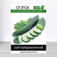 Насіння огірка бджолозапильного Китайський Фермерський F1, 100г