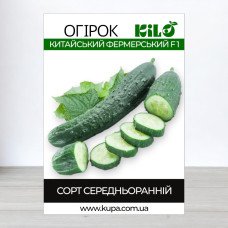 Насіння огірка бджолозапильного Китайський Фермерський F1, 100г