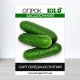 Насіння огірка бджолозапильного Засолочний, 100г