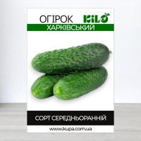 Насіння огірка бджолозапильного Харківський, 100г