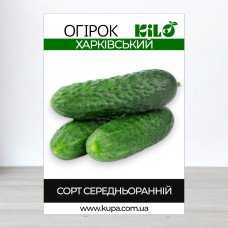 Насіння огірка бджолозапильного Харківський, 100г