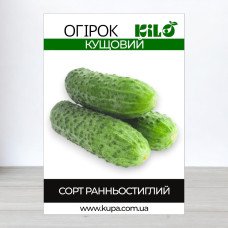 Насіння огірка бджолозапильного Кущовий, 100г