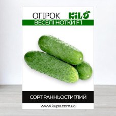 Насіння огірка бджолозапильного Веселі Нотки F1, 100г