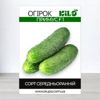 Насіння огірка бджолозапильного Примус F1, 100г