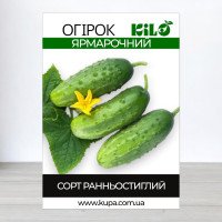Насіння огірка бджолозапильного Ярмарочний F1, 100г