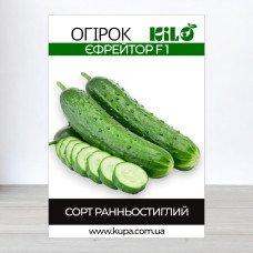 Насіння огірка партенокарпічного Єфрейтор F1, 100г