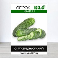 Насіння огірка бджолозапильного Крак F1, 100г