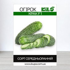 Насіння огірка бджолозапильного Крак F1, 100г