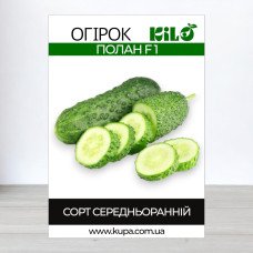 Насіння огірка бджолозапильного Полан F1, 100г