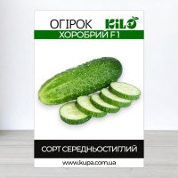 Насіння огірка бджолозапильного Хоробрий F1, 100г