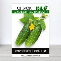 Насіння огірка бджолозапильного Братець Іванушка F1, 100г