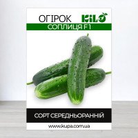 Насіння огірка бджолозапильного Соплиця F1, 100г