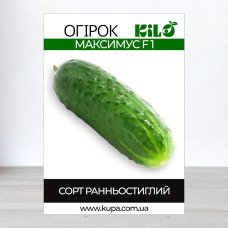 Насіння огірка партенокарпічного Максимус F1, 100г