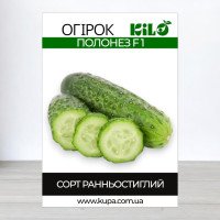 Насіння огірка партенокарпічного Полонез F1, 100г