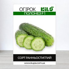 Насіння огірка партенокарпічного Полонез F1, 100г