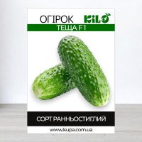 Насіння огірка партенокарпічного Теща F1, 100г