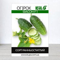 Насіння огірка партенокарпічного Фасон F1, 100г