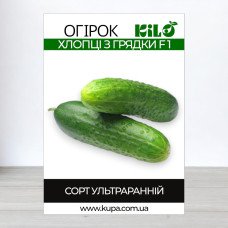 Насіння огірка партенокарпічного Хлопці з Грядки F1, 100г