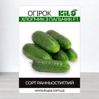 Насіння огірка партенокарпічного Хлопчик з Пальчик F1, 100г
