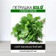 Насіння петрушки листової Гігант Італії, 100г