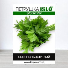 Насіння петрушки листової Богатир, 100г