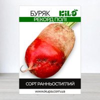 Насіння буряку кормового Рекорд Полі, 100г