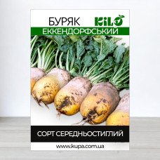 Насіння буряку кормового Еккендорфський, 100г
