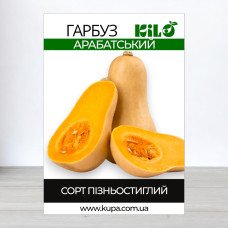 Насіння гарбуза Арабатський, 100г