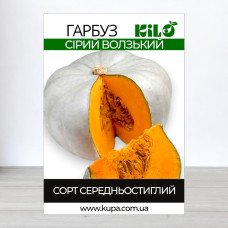 Насіння гарбуза Сірий Волзький, 100г