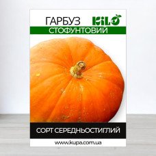 Насіння гарбуза Стофунтовий, 100г