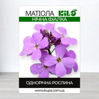 Насіння матіоли Нічна Фіалка, 100г